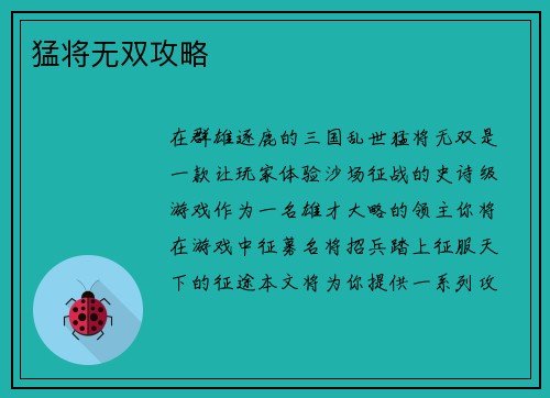猛将无双攻略
